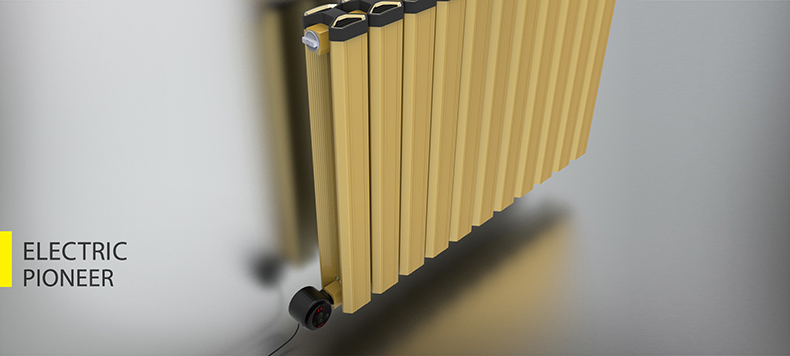 Anit decorative and luxe Electric Pioneer radiators